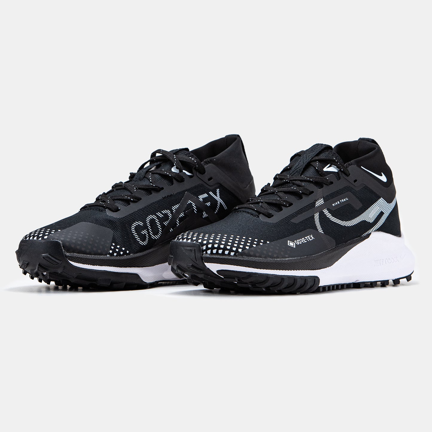 Nike Pegasus Trail 4 Gore-Tex