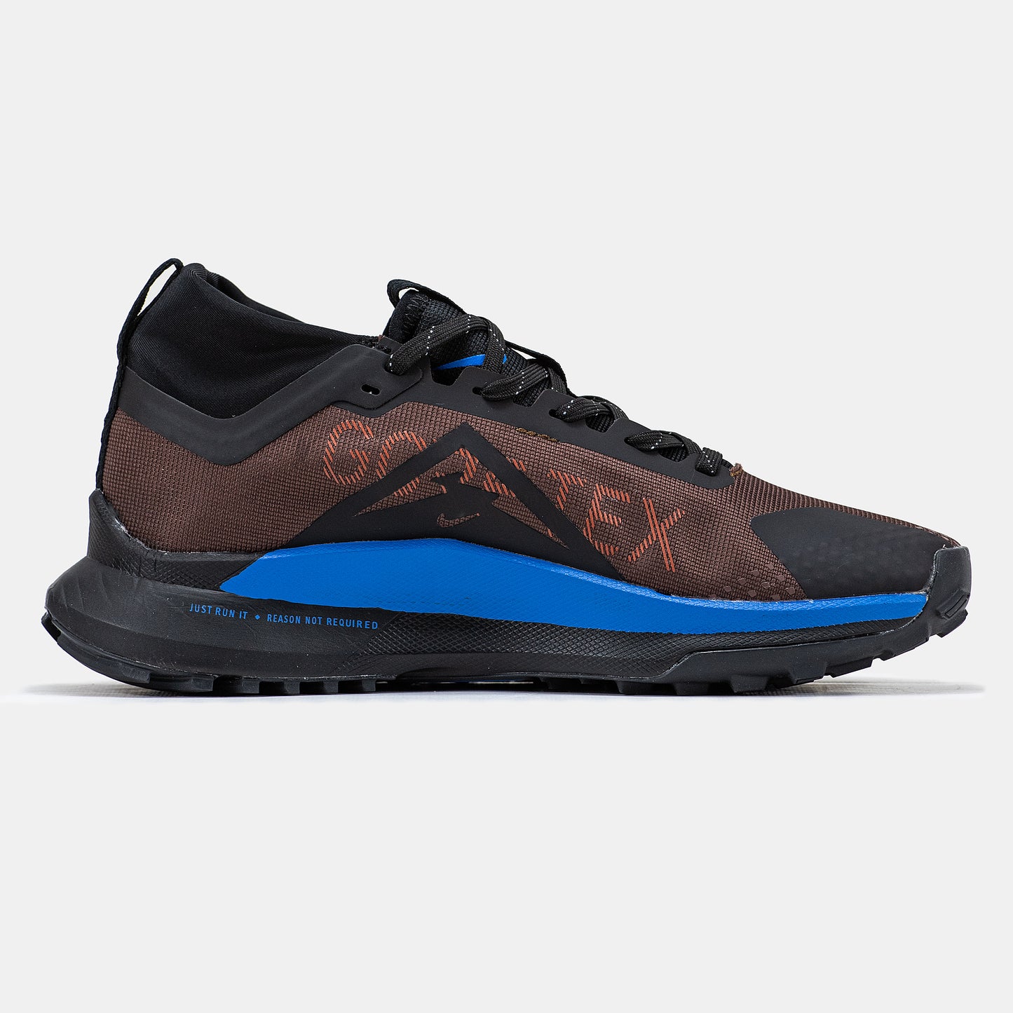 Nike Pegasus Trail 4 Gore-Tex