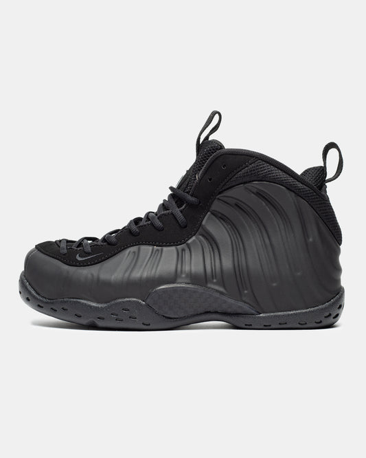 Nike Air Foamposite One 'Anthracite'