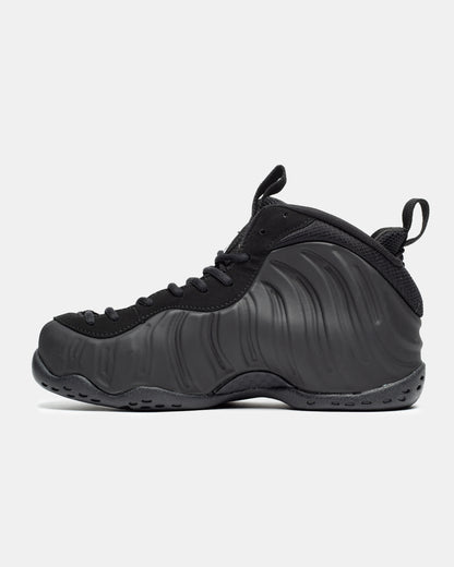 Nike Air Foamposite One 'Anthracite'