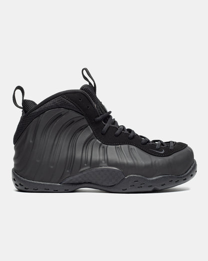 Nike Air Foamposite One 'Anthracite'